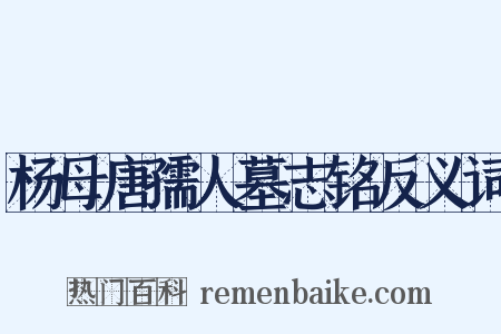 杨母唐孺人墓志铭反义词是什么意思的图片